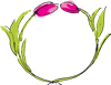 Tulip Border