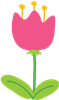 Tulip