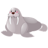 Walrus