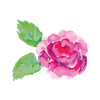 Watercolor Flower