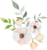 Watercolor Flower