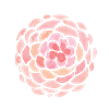 Watercolour Peach Flower 