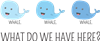 Whale Whale Whale