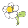 white_flower
