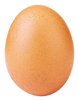 world record egg_Artboard 1.png