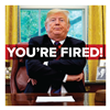 You're Fired