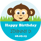 Birthday Monkey - Boy