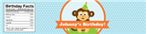 Birthday Monkey - Boys