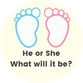 Gender Reveal