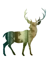 Scenic Deer